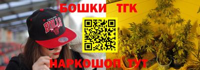 дмт Славгород