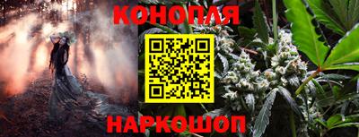 СК Сланцы