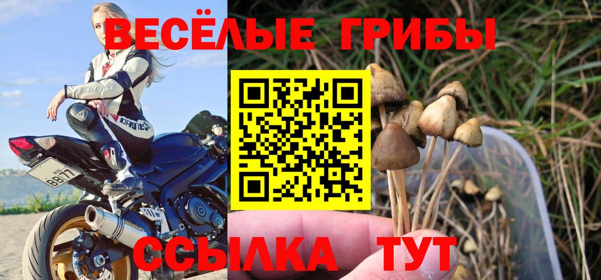 Галлюциногенные грибы ЛСД  Вход с VPN  Соликамск 