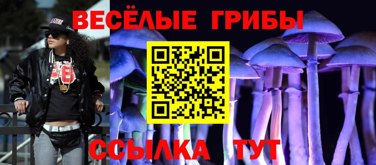 Псилоцибиновые грибы прущие грибы Соликамск